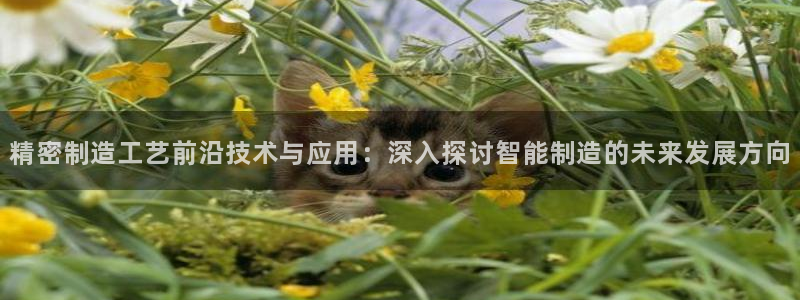 彩神v8下载网址：精密制造工艺前沿技术与应用：深入探讨智能制造的未来发展方向