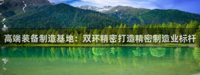 彩神赢钱了吗是真的吗：高端装备制造基地：双环精密打造精密制造业标杆