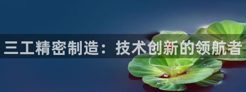 下载彩神乐发V1：三工精密制造：技术创新的领航者