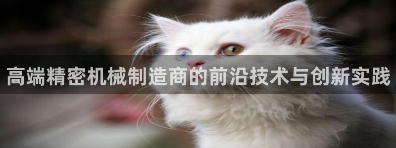 彩神购彩-购彩大厅入口计划群：高端精密机械制造商的前沿技术与创新实践