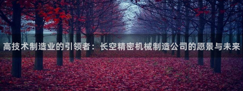 彩神是正规平台吗安全吗：高技术制造业的引领者：长空精密机械制造公司的愿景与未来