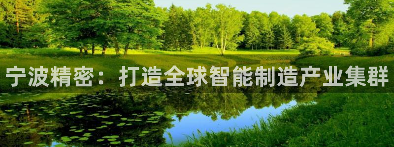 彩神v8下载网址：宁波精密：打造全球智能制造产业集群