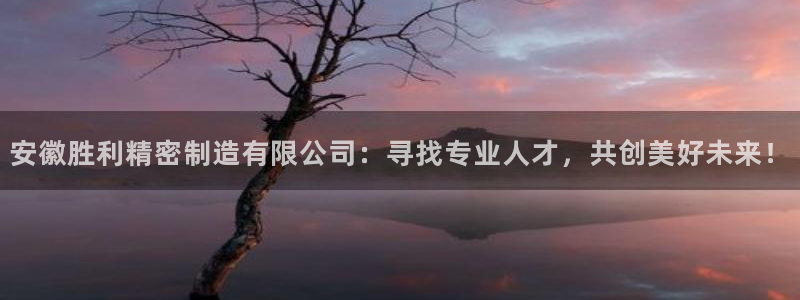 彩神大发云：安徽胜利精密制造有限公司：寻找专业人才，共创美好未来！