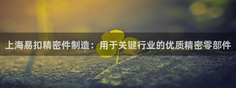 所有彩神购买首页中心：上海易扣精密件制造：用于关键行业的优质精密零部件