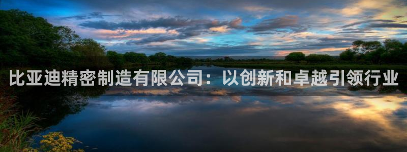 彩神v8手机客户端下载：比亚迪精密制造有限公司：以创新和卓越引领行业