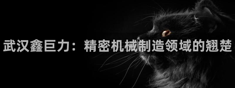 彩神8下载安卓版-彩神8(可提现)官网版1.0.0：武汉鑫巨力：精密机械制造领域的翘楚