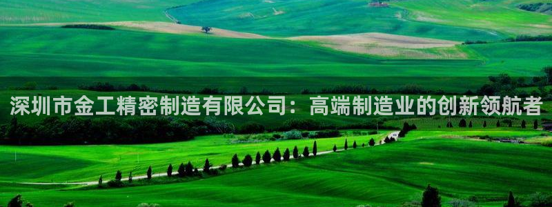 彩神旗下有哪些平台可以玩：深圳市金工精密制造有限公司：高端制造业的创新领航者