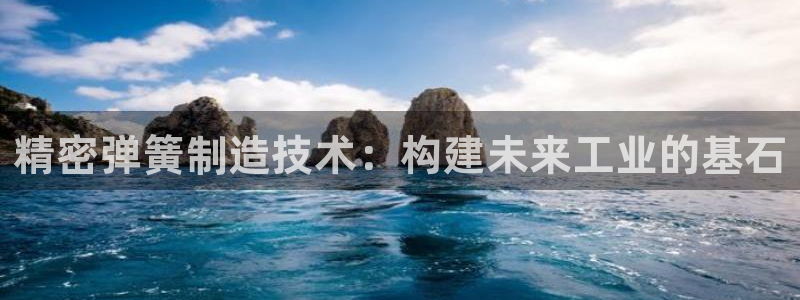彩神vlll(中国)百度百科：精密弹簧制造技术：构建未来工业的基石