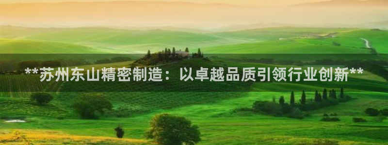 彩神趣购彩用户注册：**苏州东山精密制造：以卓越品质引领行业创新**