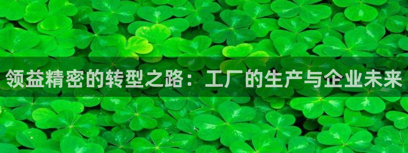 彩神app赚钱是真是假：领益精密的转型之路：工厂的生产与企业未来