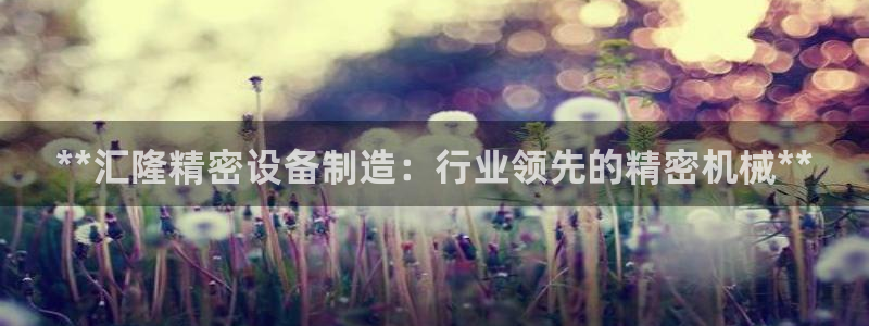 彩神vip购彩大厅在哪：**汇隆精密设备制造：行业领先的精密机械**