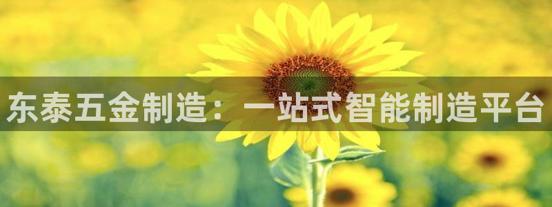 彩神VII购彩中心：东泰五金制造：一站式智能制造平台