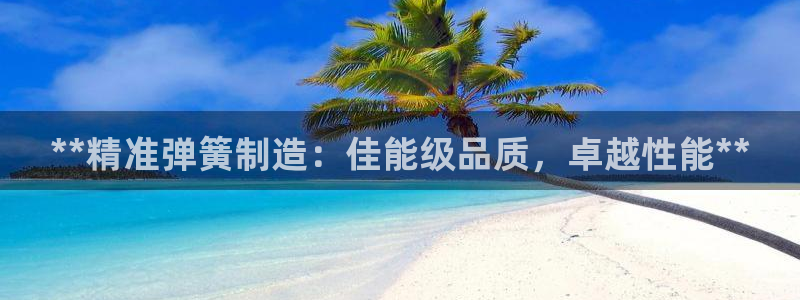 彩神ⅴll用户登录：**精准弹簧制造：佳能级品质，卓越性能**