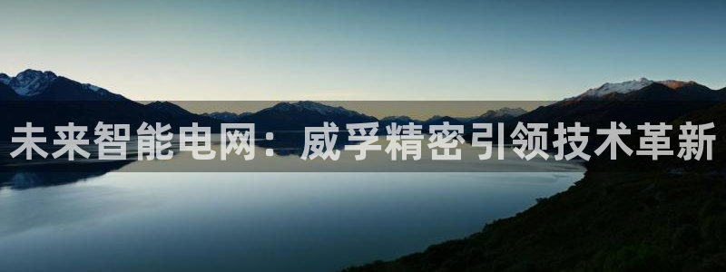 彩神v8下载：未来智能电网：威孚精密引领技术革新