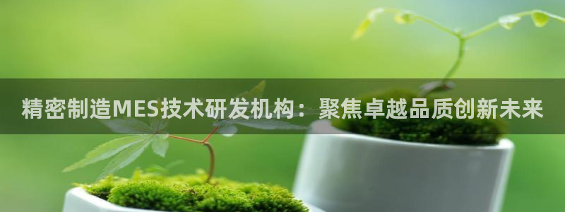 彩神v秘聊号码：精密制造MES技术研发机构：聚焦卓越品质创新未来