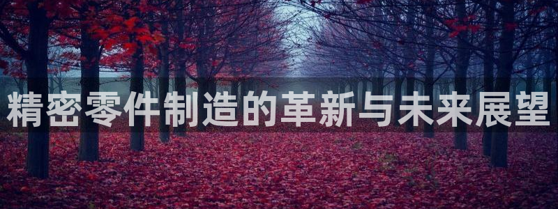 彩神是真的吗：精密零件制造的革新与未来展望