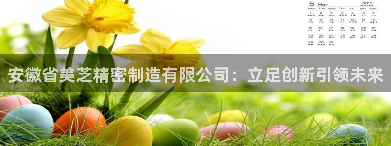 彩神大发三期计划网站：安徽省美芝精密制造有限公司：立足创新引领未来