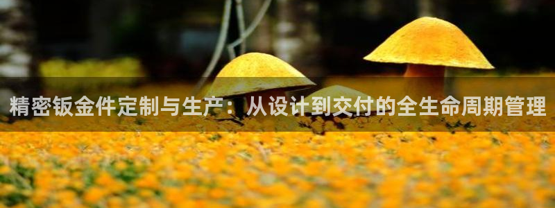 彩神8是正规平台吗