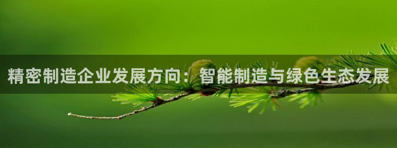 新版彩神v8登录不了：精密制造企业发展方向：智能制造与绿色生态发展