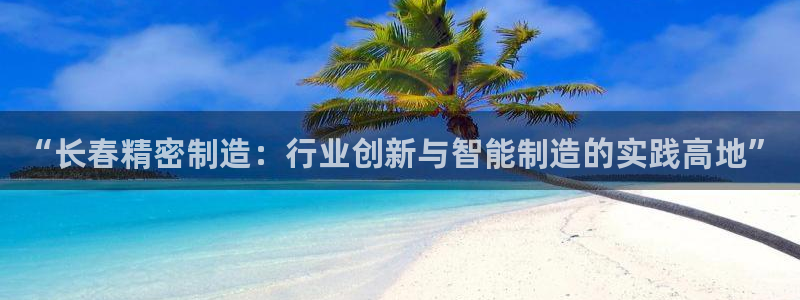 彩神v平台：“长春精密制造：行业创新与智能制造的实践高地”