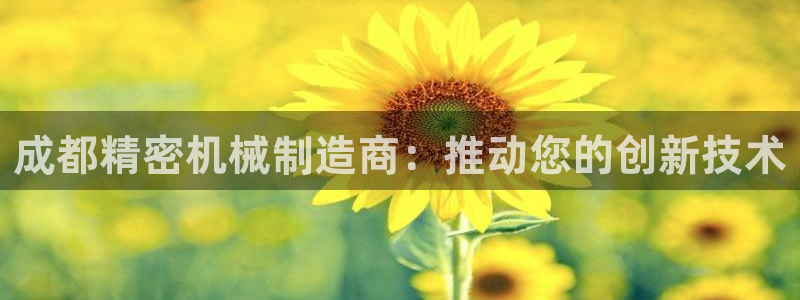 彩神争霸老平台：成都