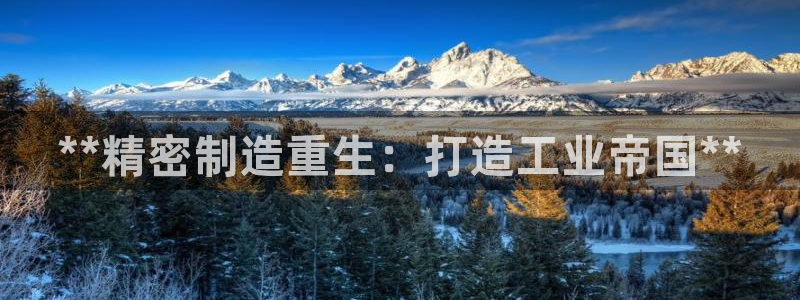 彩神v8手机客户端：**精密制造重生：打造工业帝国**